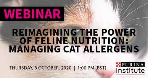 Free webinar recording – Reimagining the power of feline nutrition: managing cat allergens